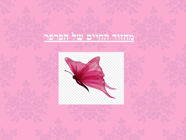 מחזור החיים של הפרפר by Eman Boulos Haddad