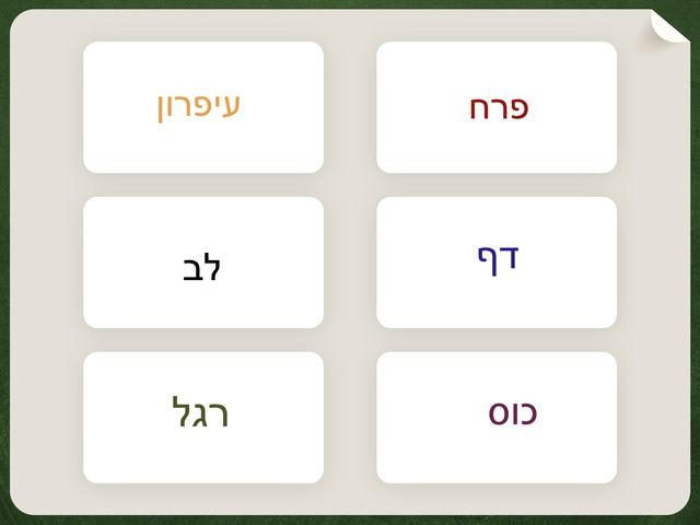 שיעור פרטני 5  by מעין אילוז