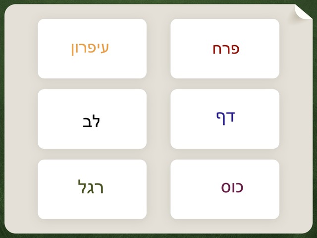 שיעור פרטני 5  by מעין אילוז