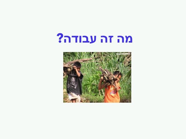 תעסוקה הכנה by Dana Palombo