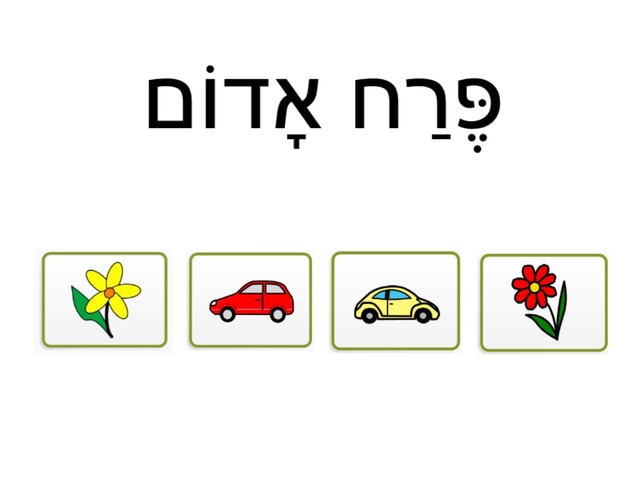 קופסת בריחה by Elisheva Spolter