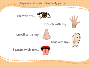 5 senses by Deborah Anne