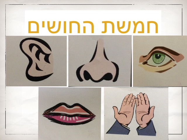 חמשת החושים by אורטל בן לולו