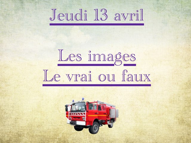 L - Jeu13 - Images Et Vrai Faux  by Caroline Gozdek