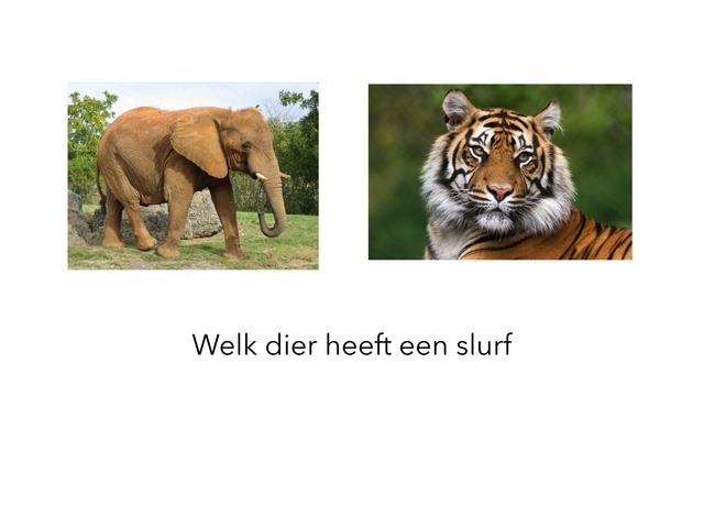 Wat Is Het? by Marieke