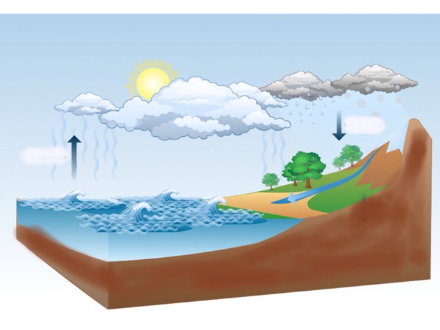 Student 2:expressive by Sandra Wilson