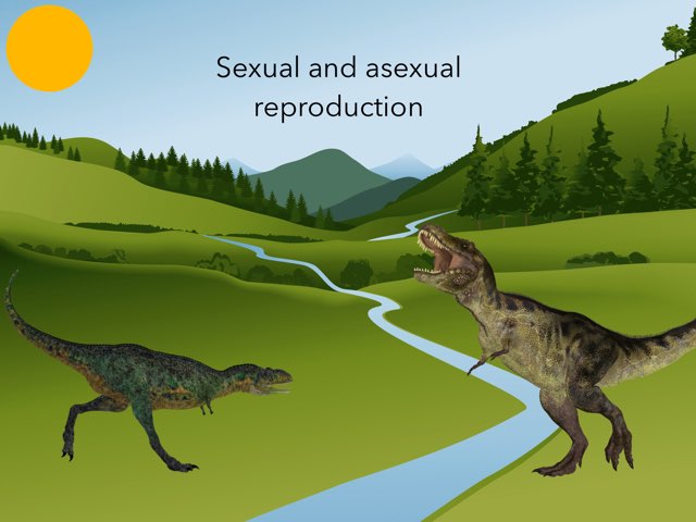 Sexual and asexual  by Class FiveJ