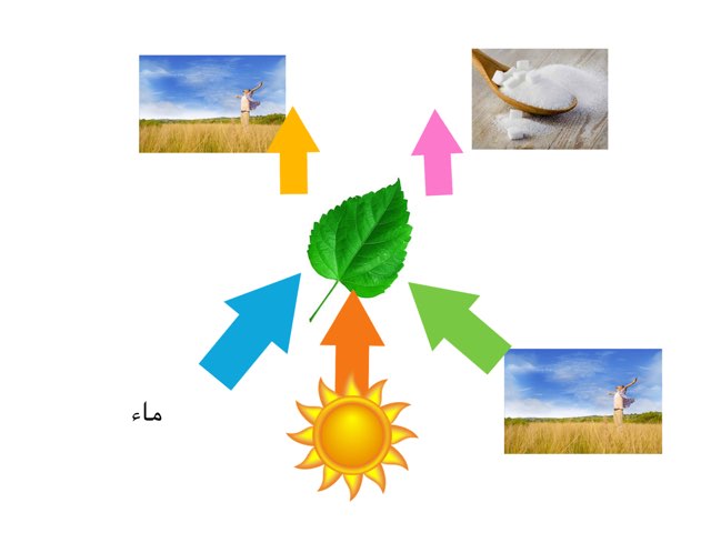 لعبة 86 by Abla Nooof