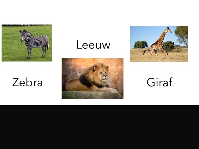 Dierentuin by Dagmar Depuydt