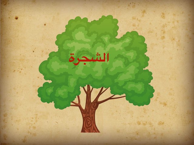 تجربة by Wadiha Alkhibari