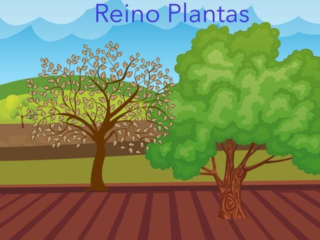 As Plantas by Lucia Rumbo Lago