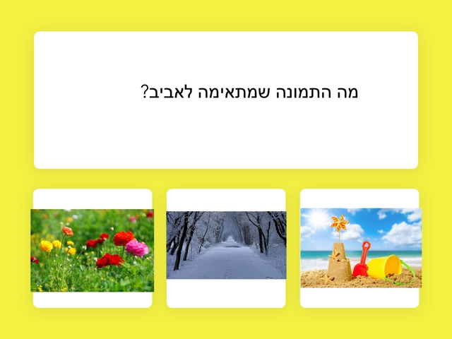 אביב תאיר by הדר יצחק