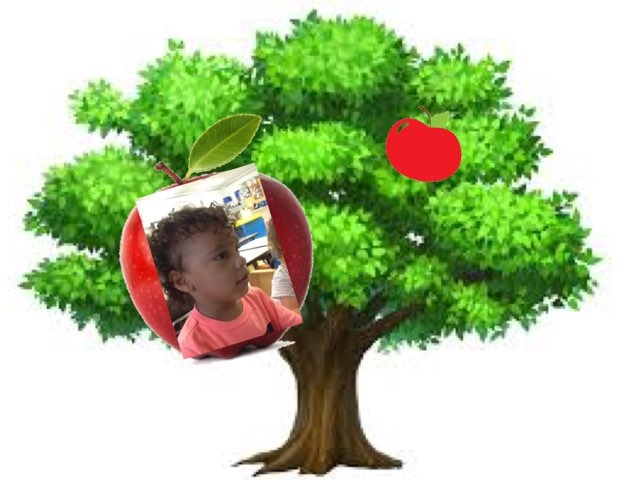 Apples AM by Stephanie Rich