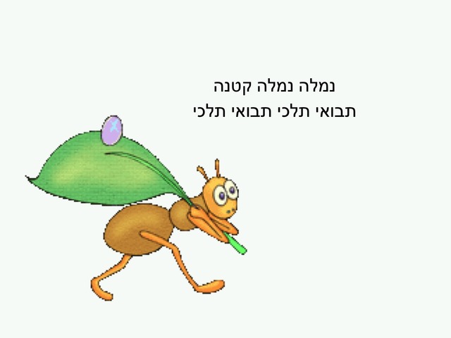 נמלה  by רונית לוי וייס