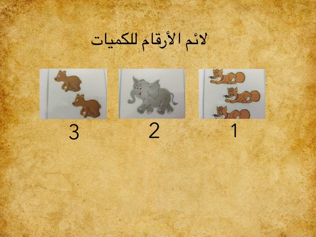 ملائمه الارقام للكميات by gamea altory