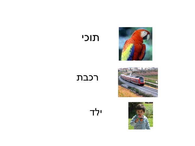 משחק אוריה by Yafit Afiki