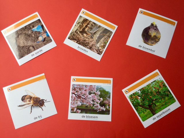 Woordenschat "Lente" by Tinytap Windhoek