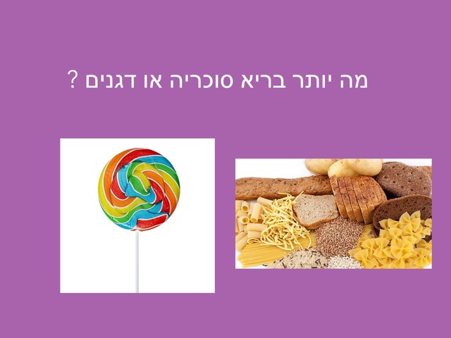 משחק  פירמידת המזון  by סלימאן שחאדה