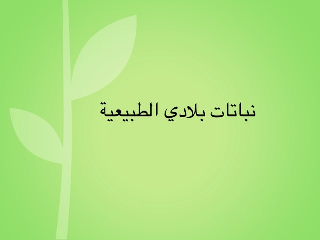 لعبة 38 by Ashwaq Alazmi