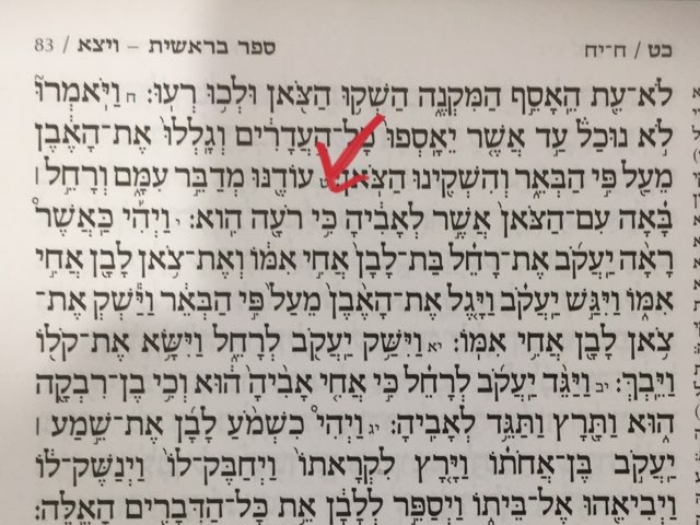 ויצא פרק כט פסוק ט by Rabbi morgenstern