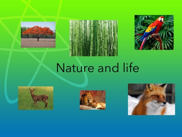 Nature And Life Day 1 by Flora Silver