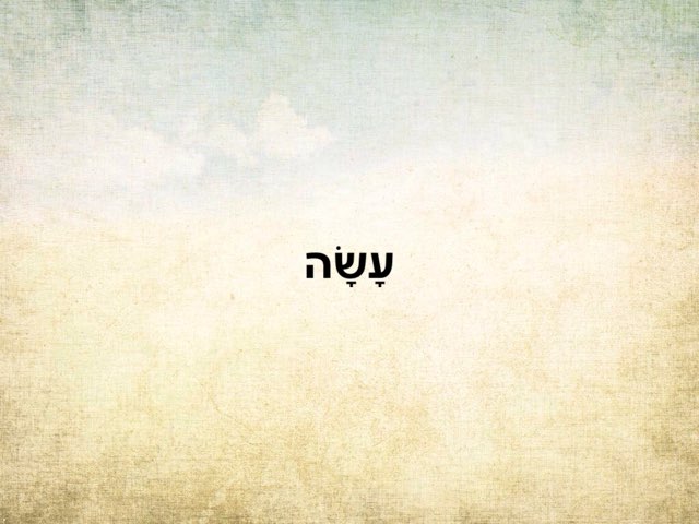 מה עשה הצב בסתו? כרטיסיות by Mor Pasvolsky Furman