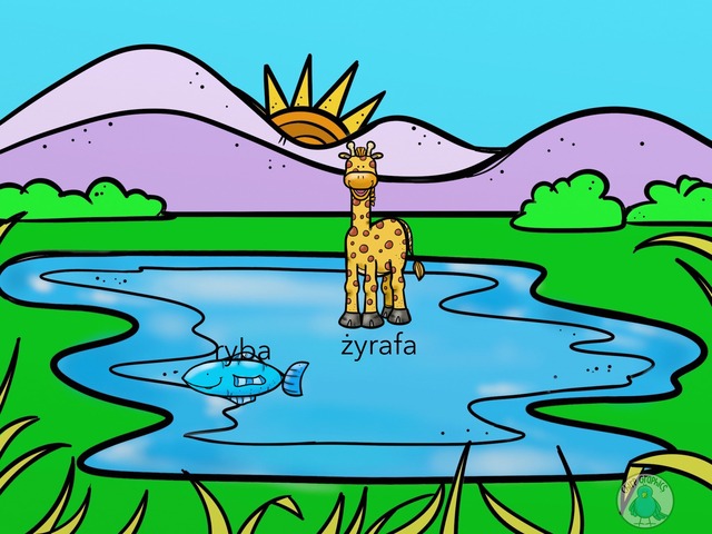 My Zoo by Anna Poplawska