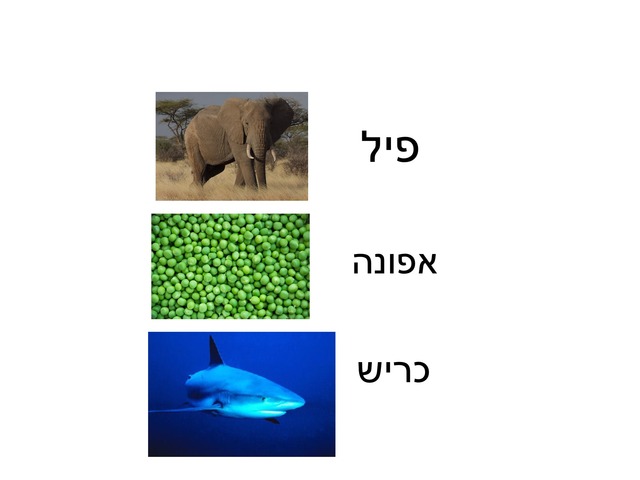 תמונה מילה by Yafit Afiki