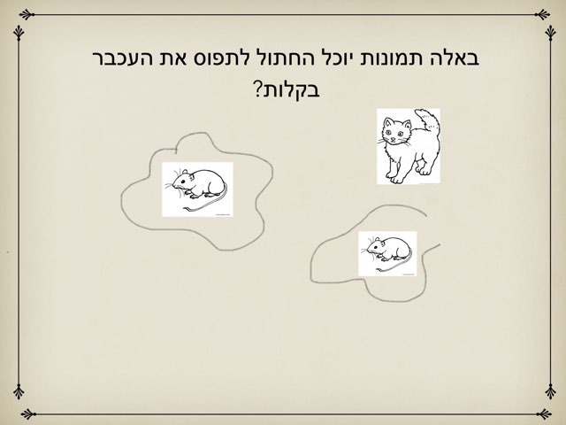 זה הקו שלי by Shifra Dd