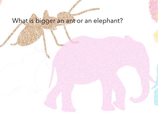 Which Is Bigger? by Rebecca Dollins