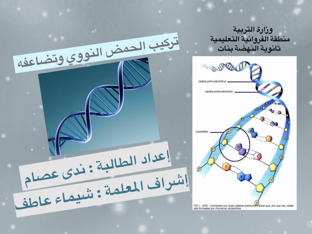 تركيب الحمض النووي وتضاعفه  by شيماء عاطف