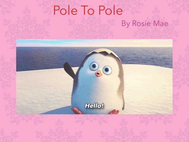 Rosie by Hillside Primary