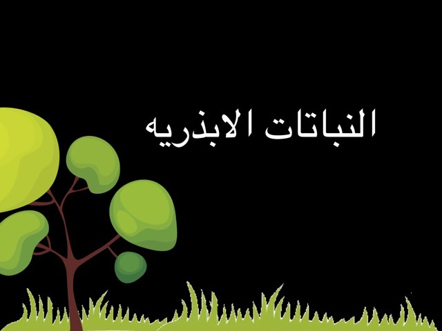 العلوم by Alanood Albuainain