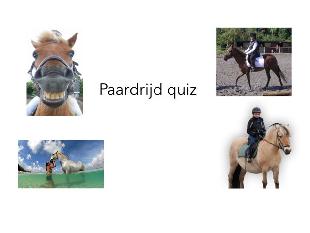 Paardrij Quiz by Astrid