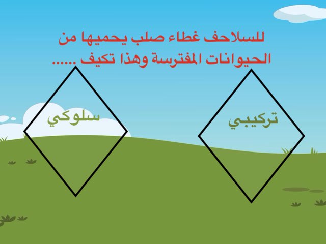 لعبة 7 by Zezd Fahad