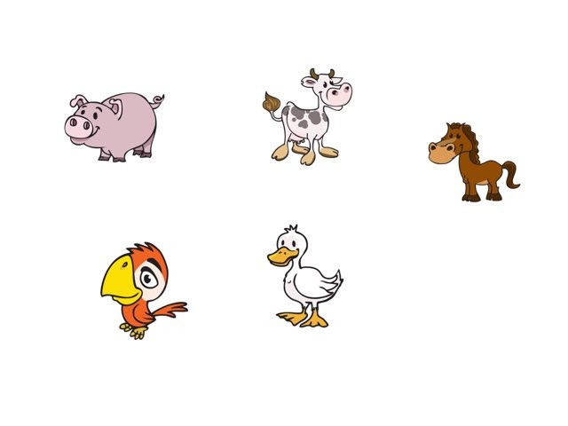 חיות by Nerya Cohen