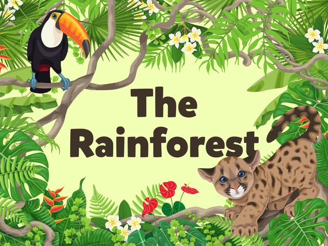 The Rainforest (1) by Kids Dailies