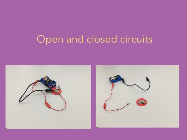 Brooklyn & Linnaea Circuits by Perriello