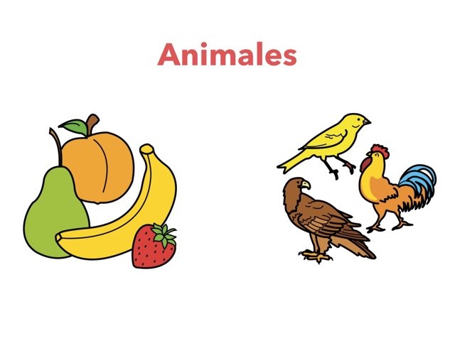 Animales by Nathaly Millones