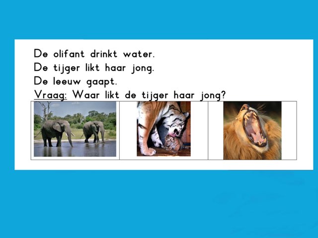 Kritisch Luisteren by Hannie Schaft