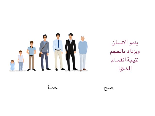 لعبة 78 by Amna Almzaiel