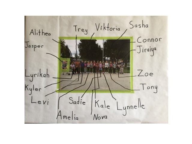 Shapes by Jeff Petty