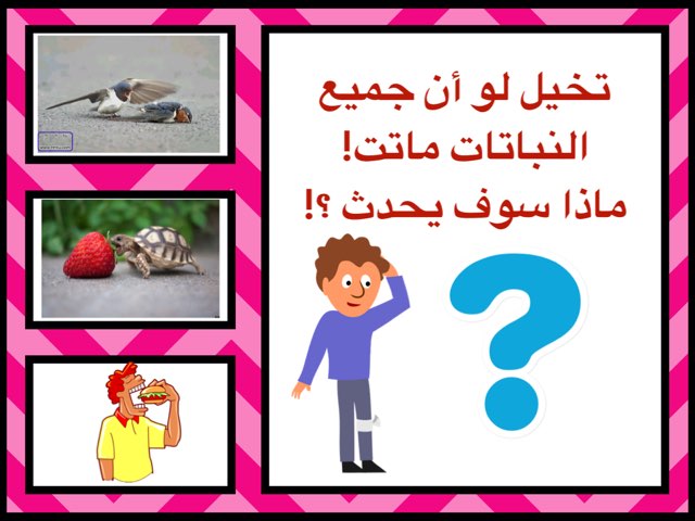 درس كيف تعتني بالنباتات للصف الثاني منهج الكفايات by Abeer aAlmutairi