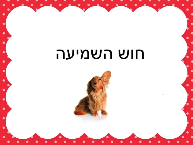 כוכי עדי חוש השמיעה by Kochi Adi