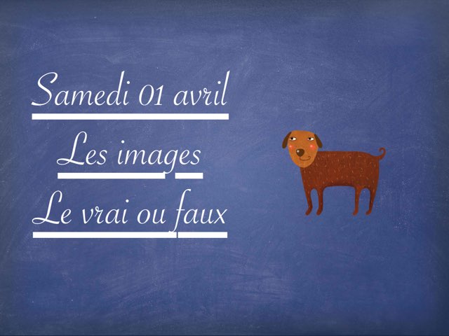 A - Sam01 - Images Et Vrai Faux  by Caroline Gozdek