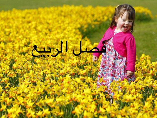 משחק 38 by Sahar Abo Alhija