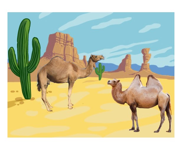 Desierto Sofía by MARIA TERESA ROSERO