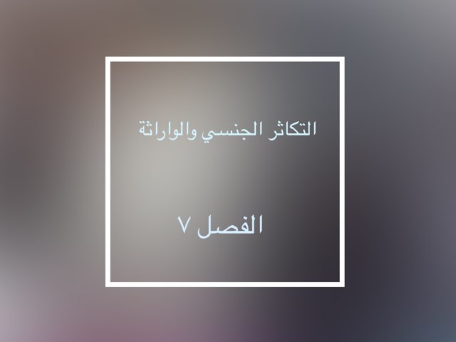 مشروع الاحياء ٧  by Shahad Bukhari