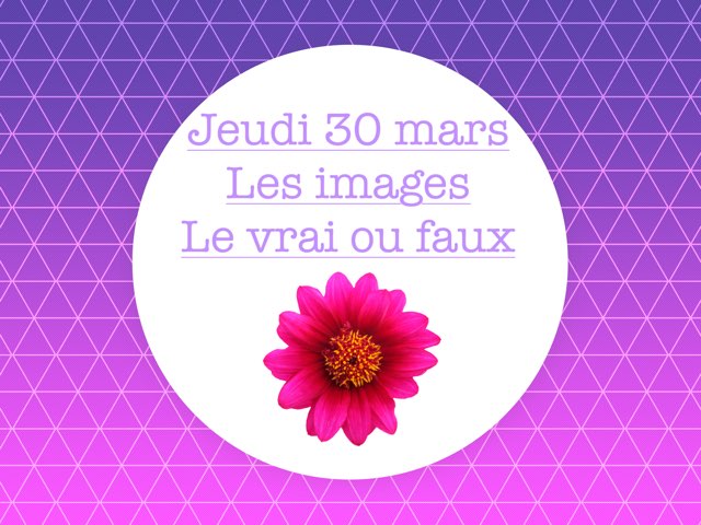 N - Jeu30 - Images Et Vrai Faux  by Caroline Gozdek