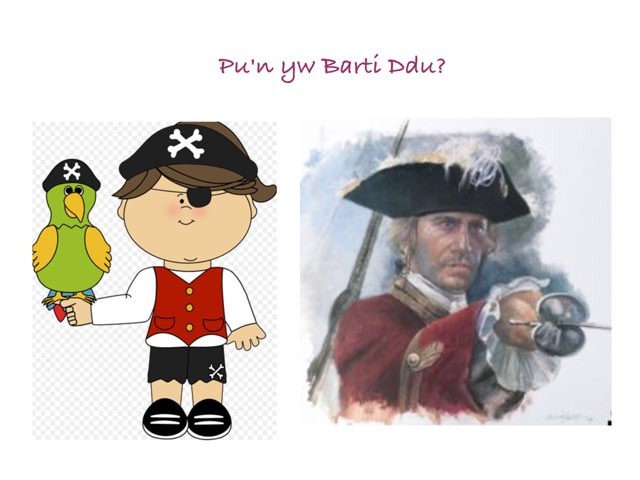 Barti Ddu by Catrin Matthews